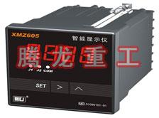 溫度表、數(shù)字顯示儀、濕度表