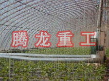 大棚花卉供暖設(shè)備、大棚卉采暖設(shè)備、大棚花卉取暖設(shè)備