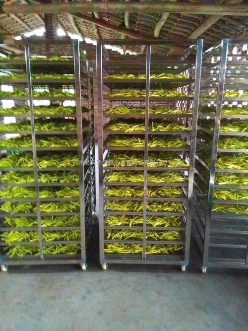 黃花菜烘干機、黃花菜烘干設備、黃花菜干燥機、黃花菜干燥設備、